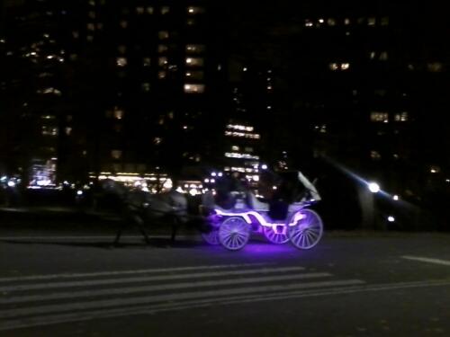 Carriage Ride--Central Park