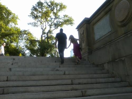 Steps--Central Park
